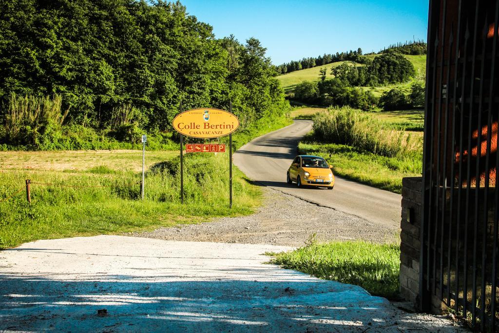 Colle Bertini Montaione