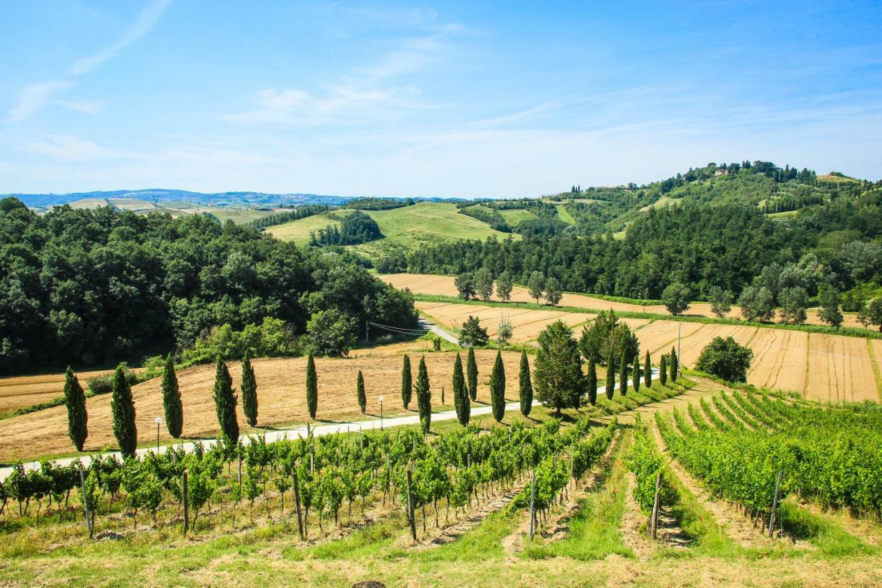 Colle Bertini * Montaione