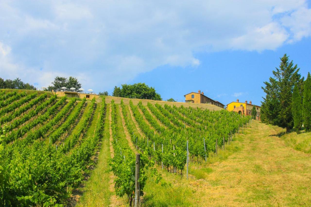 Landhaus Colle Bertini Montaione