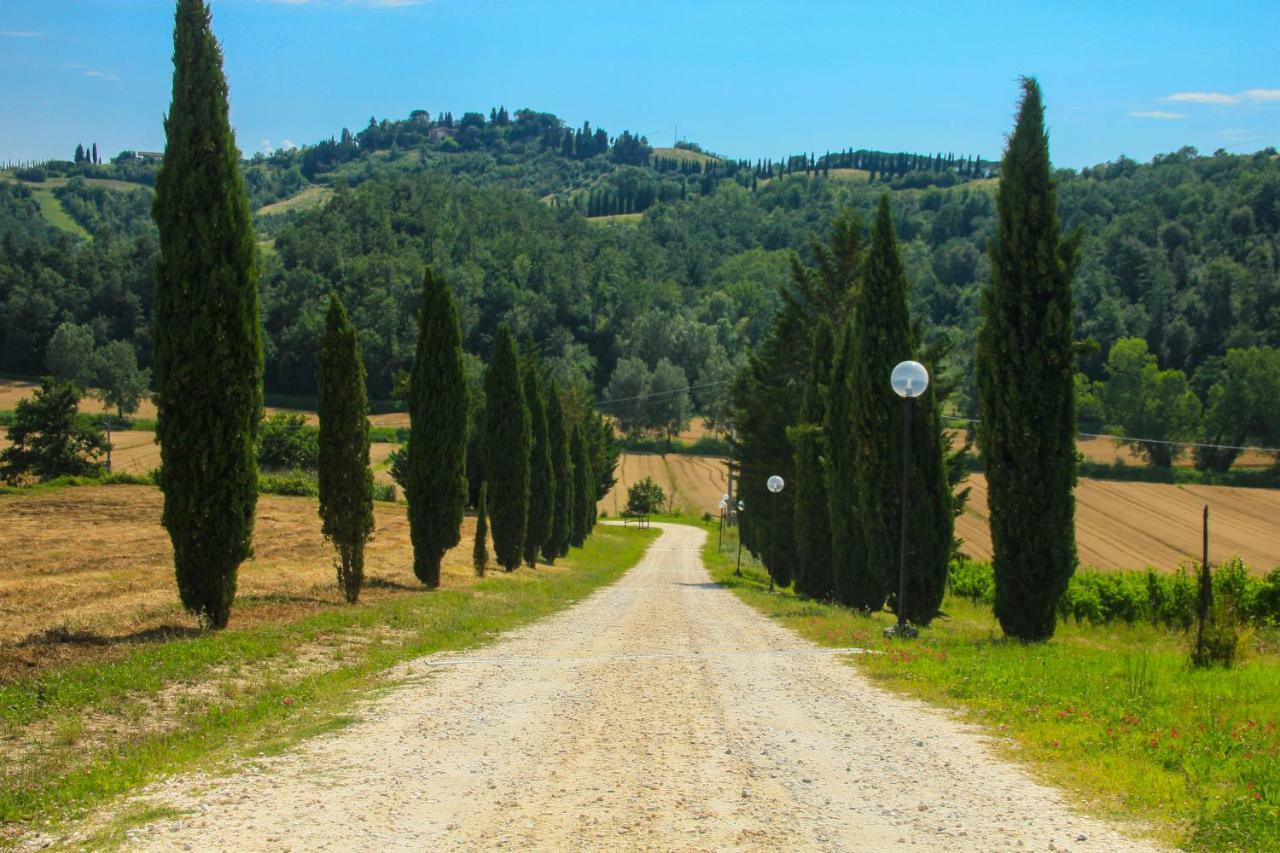Colle Bertini * Montaione