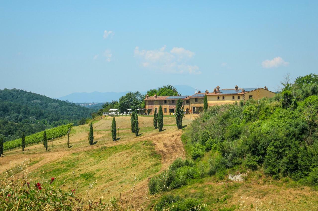 Colle Bertini Montaione